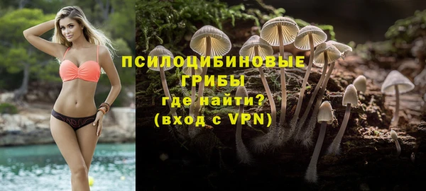 сатива Абдулино