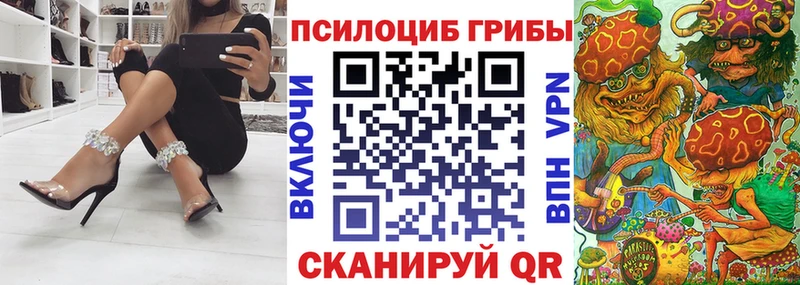 Галлюциногенные грибы мицелий  хочу наркоту  Александровск-Сахалинский 